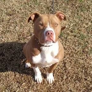 Meet your Posher, Rick